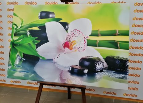 КАРТИНА НА ПЛАТНО – ЯПОНСКА ОРХИДЕЯ - ФЪН ШУЙ КАРТИНИ - КАРТИНИ