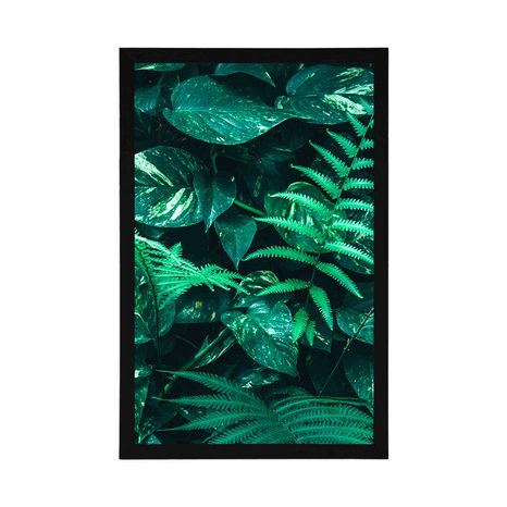 POSTER FRISCHE TROPISCHE BLÄTTER - POSTER - 🔥 TOTALAUSVERKAUF