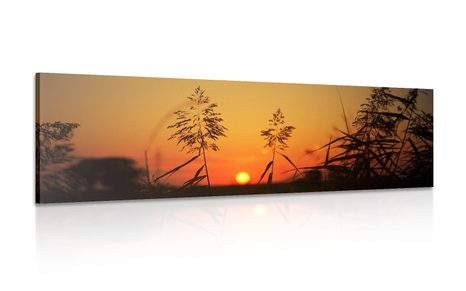 CANVAS PRINT GRASS BLADES AT SUNSET - PICTURES OF NATURE AND LANDSCAPE - PICTURES