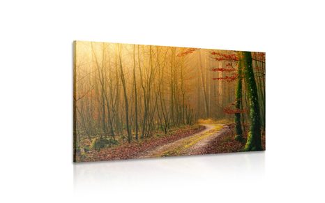 КАРТИНА НА ПЛАТНО – ПЪТЕЧКА КЪМ ГОРАТА - КАРТИНИ НА ПРИРОДАТА И ПЕЙЗАЖИ - КАРТИНИ