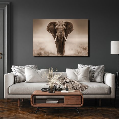 OBRAZ MAJESTÁTNÍ SLON V SAVANĚ - OBRAZY SLONI - OBRAZY