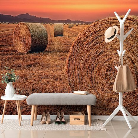 WALL MURAL HAY BALES - WALLPAPERS NATURE - WALLPAPERS