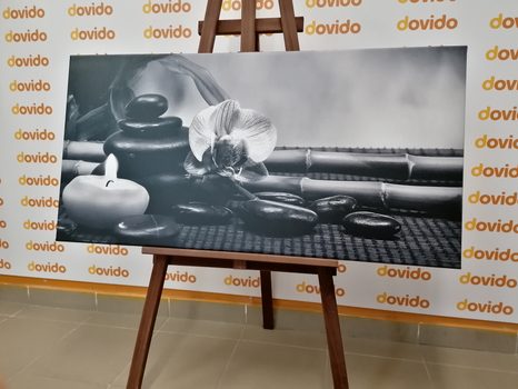 QUADRO SU TELA – NATURA MORTA FENG SHUI IN BIANCO E NERO - QUADRI BIANCO E NERO - STAMPE E QUADRI