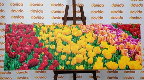 КАРТИНА НА ПЛАТНО – ГРАДИНА ПЪЛНА С ЛАЛЕТА - КАРТИНИ С ЦВЕТЯ - КАРТИНИ