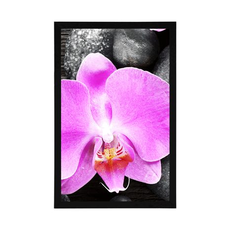PLAGÁT NÁDHERNÁ ORCHIDEA A KAMENE - FENG SHUI - PLAGÁTY