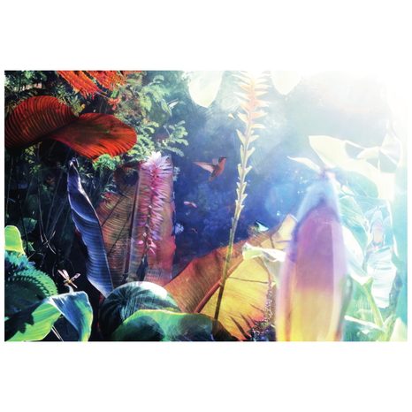 SAMOLEPIACA TAPETA OÁZA POKOJA - SAMOLEPIACE TAPETY - TAPETY