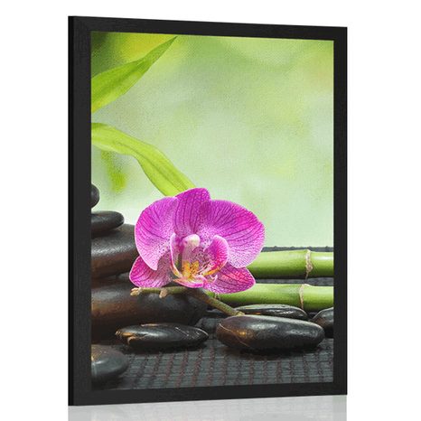 AFFICHE FENG SHUI NATURE MORTE - FENG SHUI - AFFICHES