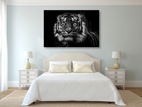 WANDBILD TIGER IN SCHWARZ-WEISS - SCHWARZ-WEISSE BILDER - BILDER