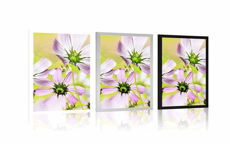 PLAGÁT ZÁHRADNÉ KVETY - KVETY - PLAGÁTY