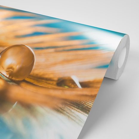 SELBSTKLEBENDE TAPETE WASSERTROPFEN AUF EINER FEDER - SELBSTKLEBENDE TAPETEN - TAPETEN