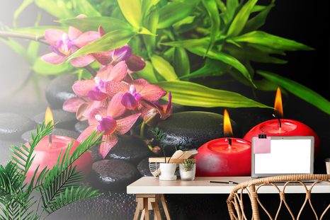 TAPETA UMIRUJUĆA MRTVA PRIRODA - ZEN - TAPETE FENG SHUI - TAPETE