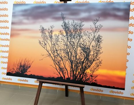 КАРТИНА НА ПЛАТНО – КЛОНКИ ПРИ ЗАЛЕЗ - КАРТИНИ НА ПРИРОДАТА И ПЕЙЗАЖИ - КАРТИНИ