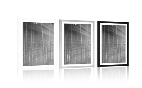 POSZTER PASZPORTUVAL NAPSUGARAK AZ ERDŐBEN FEKETE FEHÉRBEN - TERMÉSZETKÉPES - POSZTEREK