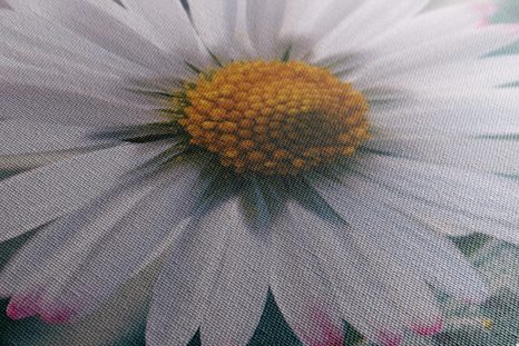 КАРТИНА НА ПЛАТНО – ПРЕКРАСНА МАРГАРИТКА - КАРТИНИ С ЦВЕТЯ - КАРТИНИ