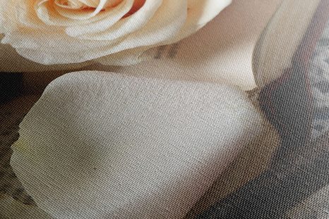 ΕΙΚΌΝΑ ΣΤΑΓΌΝΑ ΝΕΡΟΎ ΣΕ ΧΡΥΣΌ ΦΤΕΡΌ - ΠΊΝΑΚΕΣ VINTAGE ΈΝΑ ΡΕΤΡΌ - ΠΊΝΑΚΕΣ