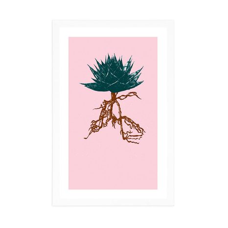 POSTER MIT PASSEPARTOUT EINZIGARTIGE ALOE VERA - MOTIVE AUS UNSERER WERKSTATT - POSTER