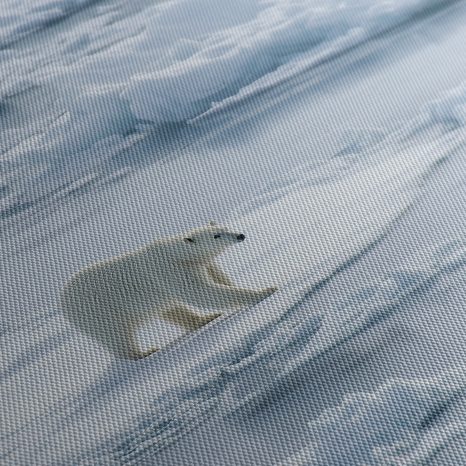 WANDBILD WINTERREICH DER EISFLÄCHEN - WEIHNACHTS- UND WINTERBILDER - BILDER