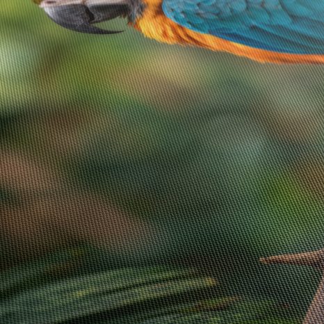 OBRAZ PESTROBAREVNÁ HARMONIE PŘÍRODY - OBRAZY PTÁCI - OBRAZY