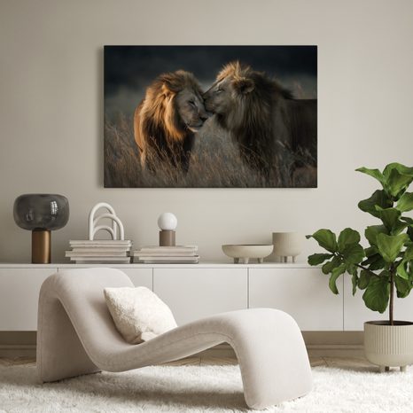 OBRAZ LVI V AFRICKÉ SAVANĚ - OBRAZY LVI A TYGŘI - OBRAZY