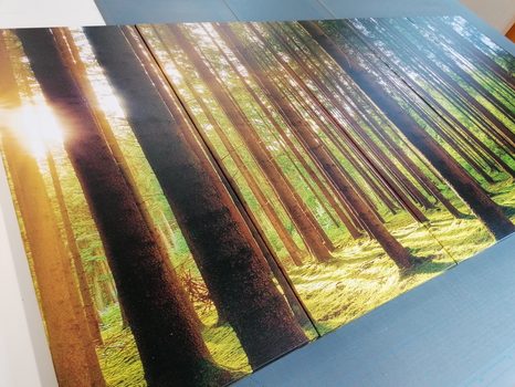 5-RÉSZES REGGEL AZ ERDŐBEN - TERMÉSZET- ÉS TÁJKÉPEK - KÉPEK