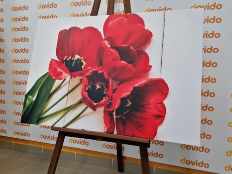 SLIKA CVETOČI RDEČI TULIPANI - SLIKE ROŽ - SLIKE