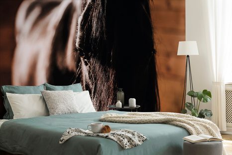 FOTOTAPETA MAJESTÁTNÍ KŮŇ - TAPETY ZVÍŘATA - TAPETY