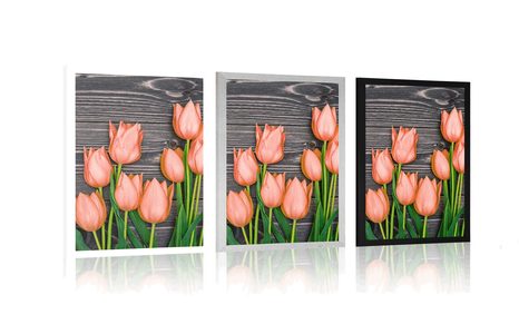 POSTER – TULIPANI ARANCIONI SU SFONDO DI LEGNO - FIORI - POSTER