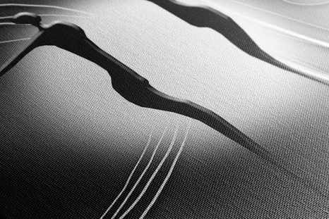 OBRAZ ETNO LÁSKA V ČIERNOBIELOM PREVEDENÍ - ČIERNOBIELE OBRAZY - OBRAZY