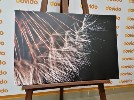 OBRAZ KRÁSA PAMPELIŠKY - OBRAZY KVĚTŮ - OBRAZY