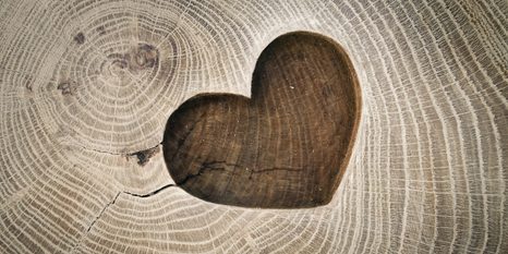 КАРТИНА НА ПЛАТНО – СИМВОЛ НА ЛЮБОВТА - КАРТИНИ НА ПРИРОДАТА И ПЕЙЗАЖИ - КАРТИНИ