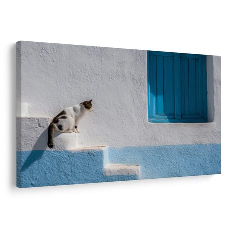 WANDBILD KATZE AUF BLAUEN TREPPEN - BILDER VON KATZEN - BILDER