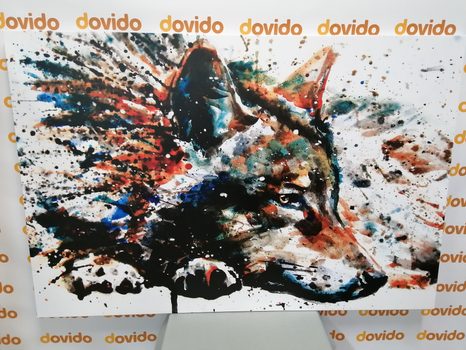 ΕΙΚΌΝΑ ΛΎΚΟΥ ΣΕ ΣΧΈΔΙΟ ΑΚΟΥΑΡΈΛΑΣ - ΠΊΝΑΚΕΣ ΖΏΩΝ - ΠΊΝΑΚΕΣ