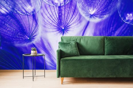 CARTA DA PARATI – DENTE DI LEONE VIOLA STRAORDINARIO - CARTA DA PARATI ASTRATTI - CARTA DA PARATI