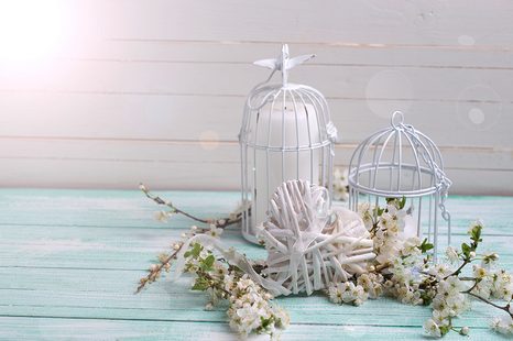 FOTOTAPETA TŘEŠŇOVÉ VĚTVIČKY A LUCERNIČKY - TAPETY - TOTÁLNÍ VÝPRODEJ 🔥