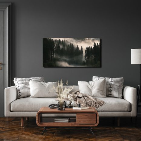 OBRAZ RANNÍ OPAR NAD LESEM - PICTURES FOREST - PICTURES