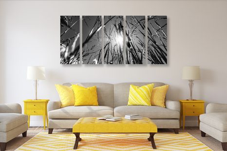 5-DÍLNÝ OBRAZ POLNÍ TRÁVA V ČERNOBÍLÉM PROVEDENÍ - ČERNOBÍLÉ OBRAZY - OBRAZY