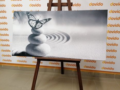 STAMPA SU TELA – EQUILIBRIO DI PIETRE E FARFALLA IN BIANCO E NERO - QUADRI BIANCO E NERO - STAMPE E QUADRI