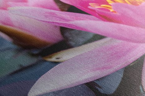 TABLOU FLOARE DE LOTUS ROZ - TABLOU FLORI - TABLOURI