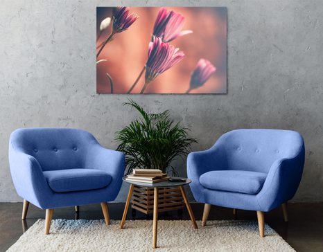 SLIKA NEŽNE ROŽNATE IVANJŠČICE - SLIKE ROŽ - SLIKE