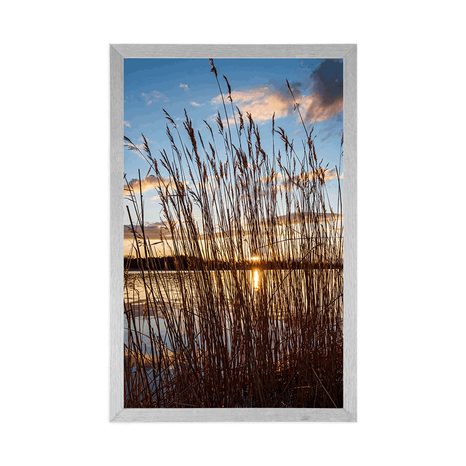 POSTER CALM RIVER NEAR THE VILLAGE - NATURE - POSTERS