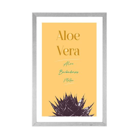 PLAGÁT S PASPARTOU A ŠTÝLOVÝM NÁPISOM ALOE VERA - MOTÍVY Z NAŠEJ DIELNE - PLAGÁTY