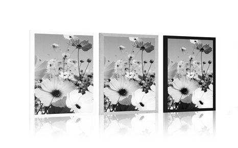 PLAGÁT LÚKA JARNÝCH KVETOV V ČIERNOBIELOM PREVEDENÍ - ČIERNOBIELE - PLAGÁTY