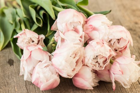 OBRAZ ROMANTICKÁ KYTICE - OBRAZY KVĚTŮ - OBRAZY