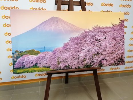 SLIKA ČUDOVITA JAPONSKA - SLIKE NARAVE IN POKRAJINE - SLIKE