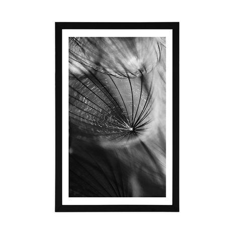 POSTER WITH MOUNT BEAUTIFUL DANDELION IN BLACK AND WHITE - BLACK AND WHITE - POSTERS