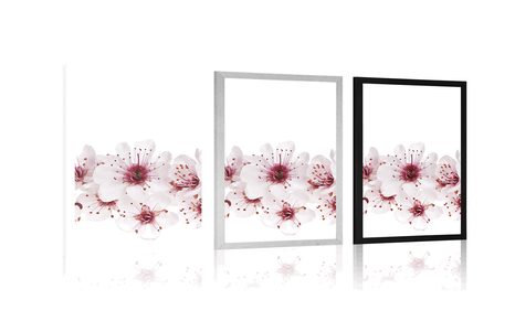 POSZTER CSERESZNYE VIRÁG - VIRÁGMINTÁS - POSZTEREK