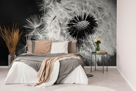 FOTOTAPETA ČERNOBÍLÝ DETAIL PAMPELIŠKY - ČERNOBÍLÉ TAPETY - TAPETY