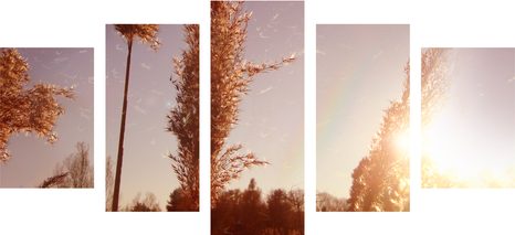 5-DÍLNÝ OBRAZ ATMOSFÉRA PODZIMU - OBRAZY POLE A LOUKY - OBRAZY