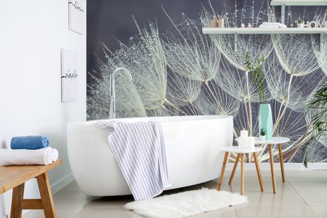 FOTOTAPETA RANNÍ ROSA NA PAMPELIŠCE - TAPETY KVĚTINY - TAPETY