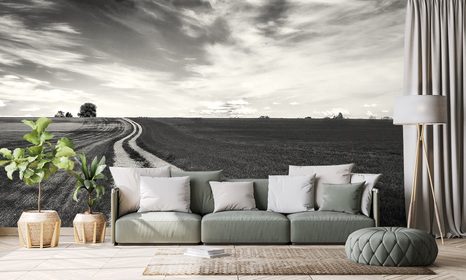 SAMOLEPÍCÍ FOTOTAPETA ČERNOBÍLÁ ČAROKRÁSNÁ KRAJINA - SAMOLEPÍCÍ TAPETY - TAPETY